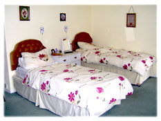 Twin Bedroom